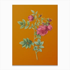 Vintage Turnip Roses Botanical on Sunset Orange n.0689 Canvas Print