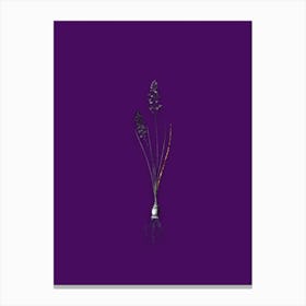 Vintage Autumn Squill Black and White Gold Leaf Floral Art on Deep Violet n.0164 Canvas Print