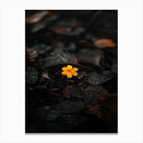 Yellow Flower In The Rain Canvas Print