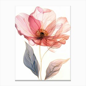 Pink Poppy Canvas Print