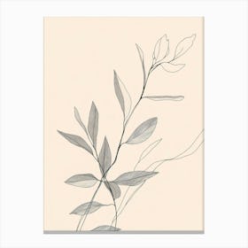 Ivy leaves Canvas Print