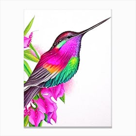 Anna S Hummingbird Marker Art Canvas Print