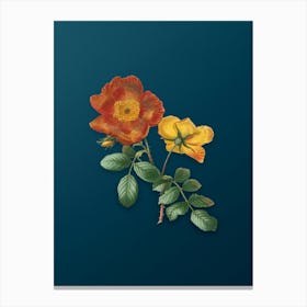 Vintage Sweetbriar Rose Botanical Art on Teal Blue n.0431 Canvas Print