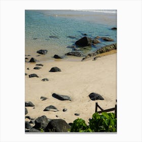 Gold Coast Beach And Rock Pool, Aesthetic And Calming Ocean Image Canvas Print