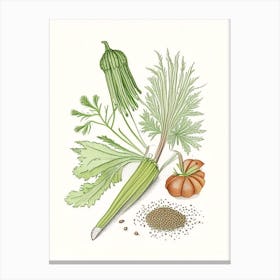 Celery Seeds Spices And Herbs Pencil Illustration 6 Canvas Print