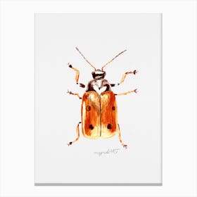 Cryptocephalus cordiger, a leaf beetle, watercolor artwork Canvas Print