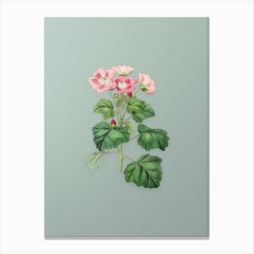 Vintage Rhomb Leaved Palavia Flower Botanical Art on Mint Green n.0513 Canvas Print