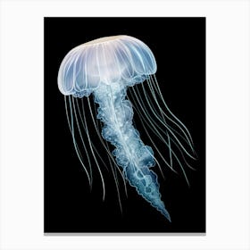 Sea Nettle Jellyfish Ocean Realistic 5 Canvas Print