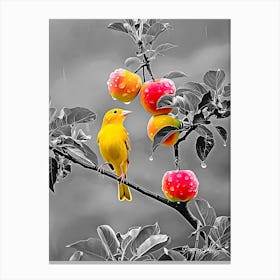 The Bird On The Apple Tree (2) Canvas Print