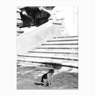 Cat Of The Mansion, Black And White St Sebastian, Spain Canvas Print