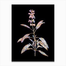 Stained Glass Sage Plant Mosaic Botanical Illustration on Black n.0305 Canvas Print