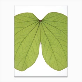 Leaf Butt Canvas Print