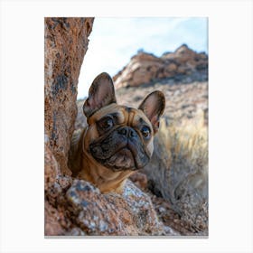 French Bulldog.Generated AI. Art Print 5 Canvas Print