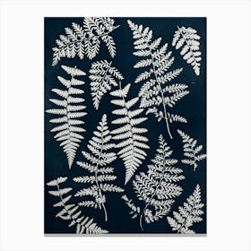 Blue Fern cyanotype Canvas Print