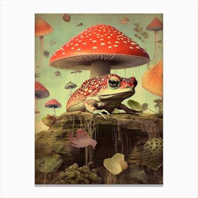 Mushroom And Frog Canvas Print