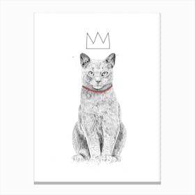 King Of Everything 2 Canvas Print