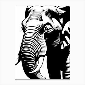 Elephant with Tusks, 1354 Canvas Print