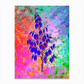 Adam's Needle Botanical in Acid Neon Pink Green and Blue n.0275 Canvas Print