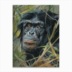 Bonobo Pastel Watercolour 2 Leinwandbild