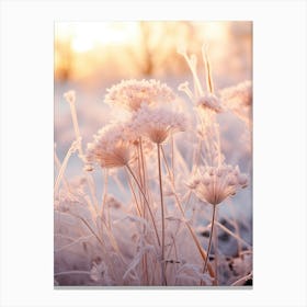 Frosty Botanical Queen Annes Lace 10 Canvas Print