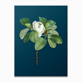 Vintage Magnolia Elegans Botanical Art on Teal Blue Canvas Print
