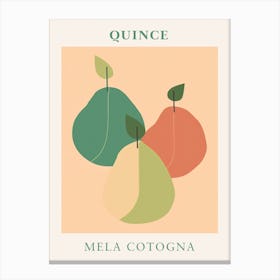 Quince Canvas Print