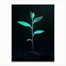 Green Plant In The Dark 4 Canvas Print