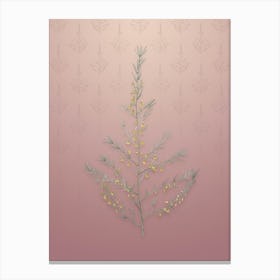 Vintage Sea Asparagus Botanical on Dusty Pink Pattern n.1851 Canvas Print