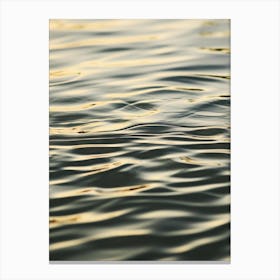 Water Ripples Canvas Print