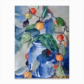 Physalis 3 Classic Fruit Canvas Print