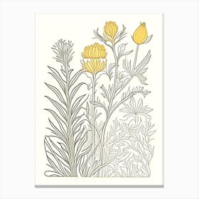 Turmeric Herb William Morris Inspired Line Drawing 1 Canvas Print