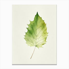 Sycamore Leaf Minimalist Watercolour 4 Canvas Print