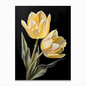 Yellow Tulips 1 Canvas Print