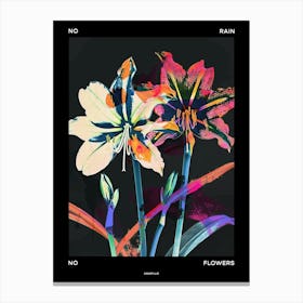 No Rain No Flowers Poster Amaryllis 7 Canvas Print