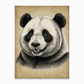 Panda Bear 30 Canvas Print