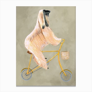Afghan Dog On Bicycle Canvas Print