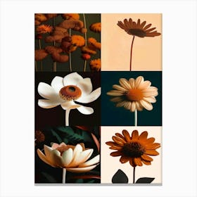 Collage Of Flowers,  Autumn Collection  Canvas Print