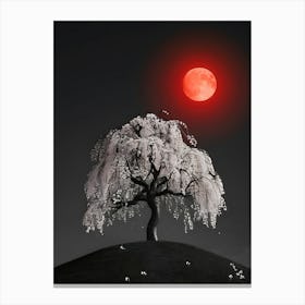 Red Cherry Tree 2 Canvas Print