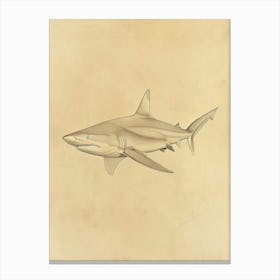 Blue Shark Vintage Illustration 3 Canvas Print