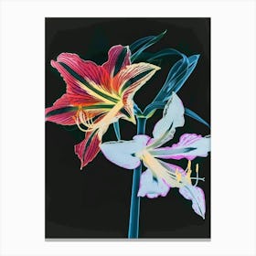 Neon Flowers On Black Amaryllis 3 Canvas Print