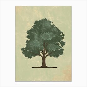 Walnut Tree Minimal Japandi Illustration 3 Canvas Print