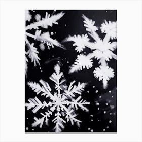 Ice, Snowflakes, Black & White 4 Canvas Print