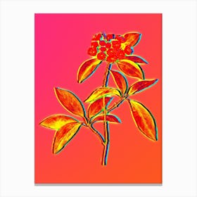 Neon Mountain Laurel Branch Botanical in Hot Pink and Electric Blue n.0142 Canvas Print