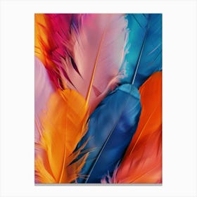 Colorful Feathers 10 Canvas Print