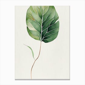 Wild Yam Leaf Minimalist Watercolour 2 Canvas Print