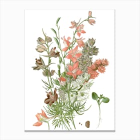 Wildflowers Canvas Print