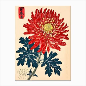 Chrysanthemum 12 Canvas Print