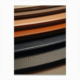 Leather Belts Canvas Print