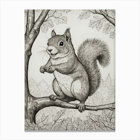 Squirrel In The Tree 1 Canvas Print