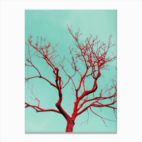 Bare Tree Against Blue Sky Canvas Print